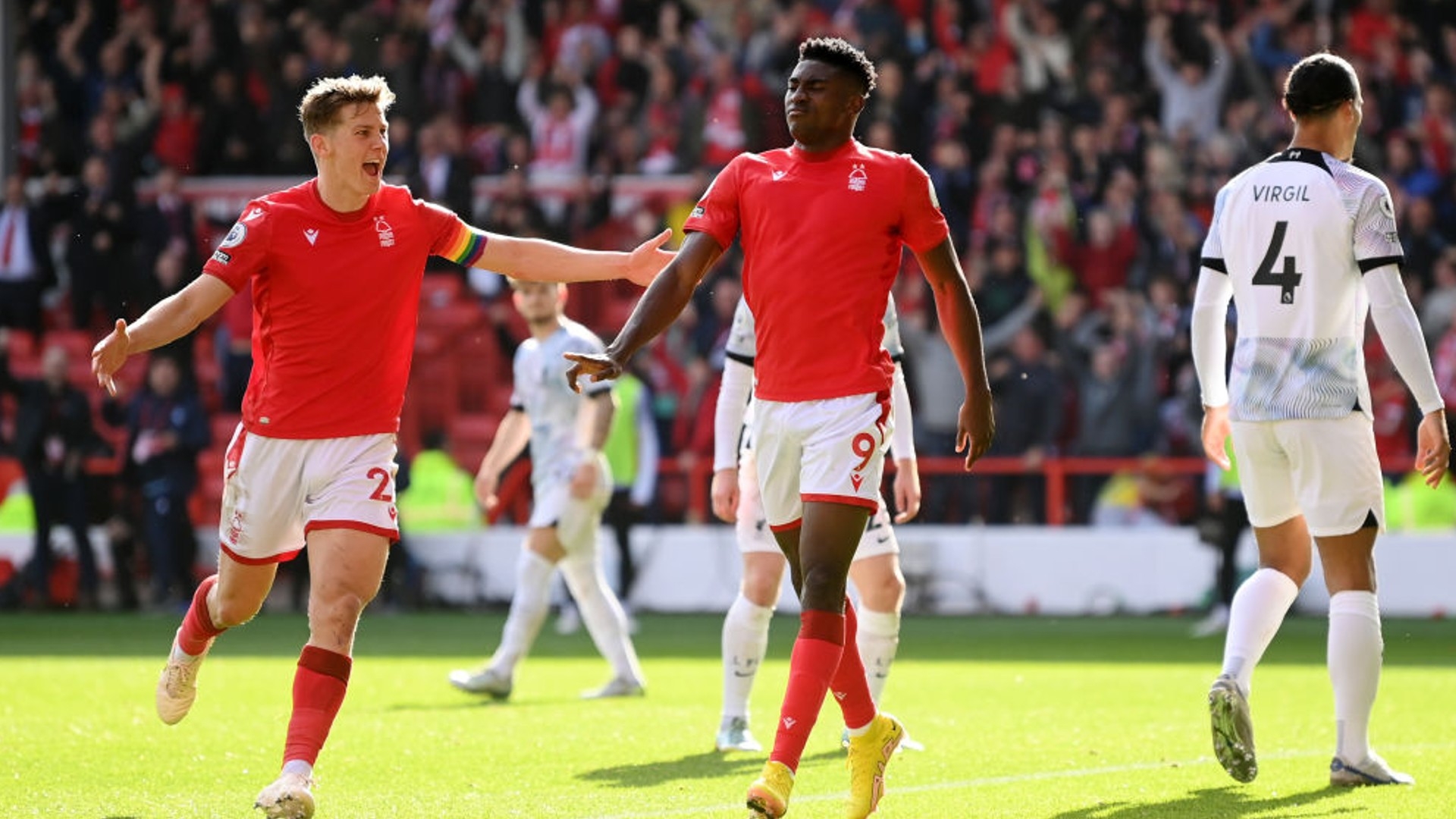 球哥的粉丝 球哥的粉丝